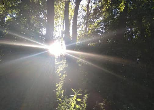 Nerven schonend handeln