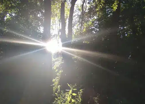 feinfühlige Menschen sind empfindlich