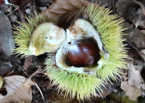 feinfühlige Menschen sind empfindlich