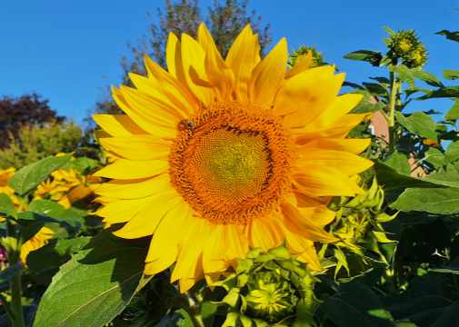 feinfühlige Menschen sind empfindlich