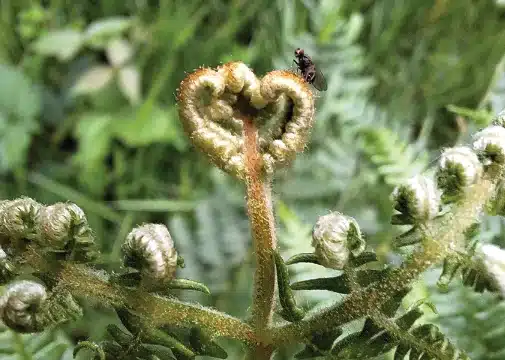 Leben mit Hochsensibilität 5 sein Vertrauen in sich aufbauen