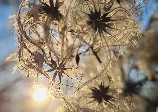 Leben mit Hochsensibilität 4 Akzentiere deine Feinfühligkeit